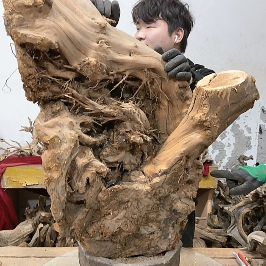 【闪购商品】柏木上****签我们都是好孩子