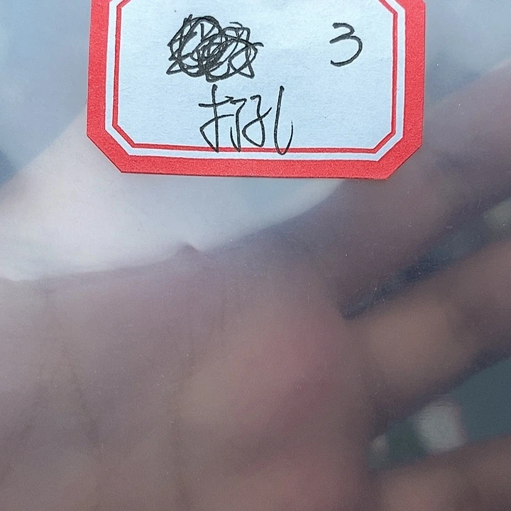 未镶嵌吊坠(不含链)玛瑙/玉髓