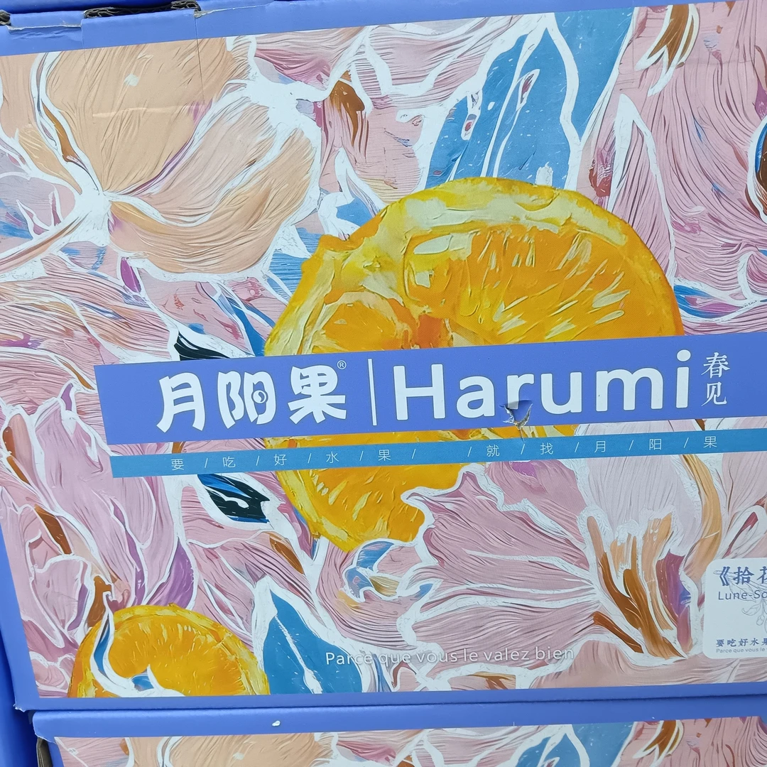 月阳果四川春见耙耙柑新鲜应季水果四川省