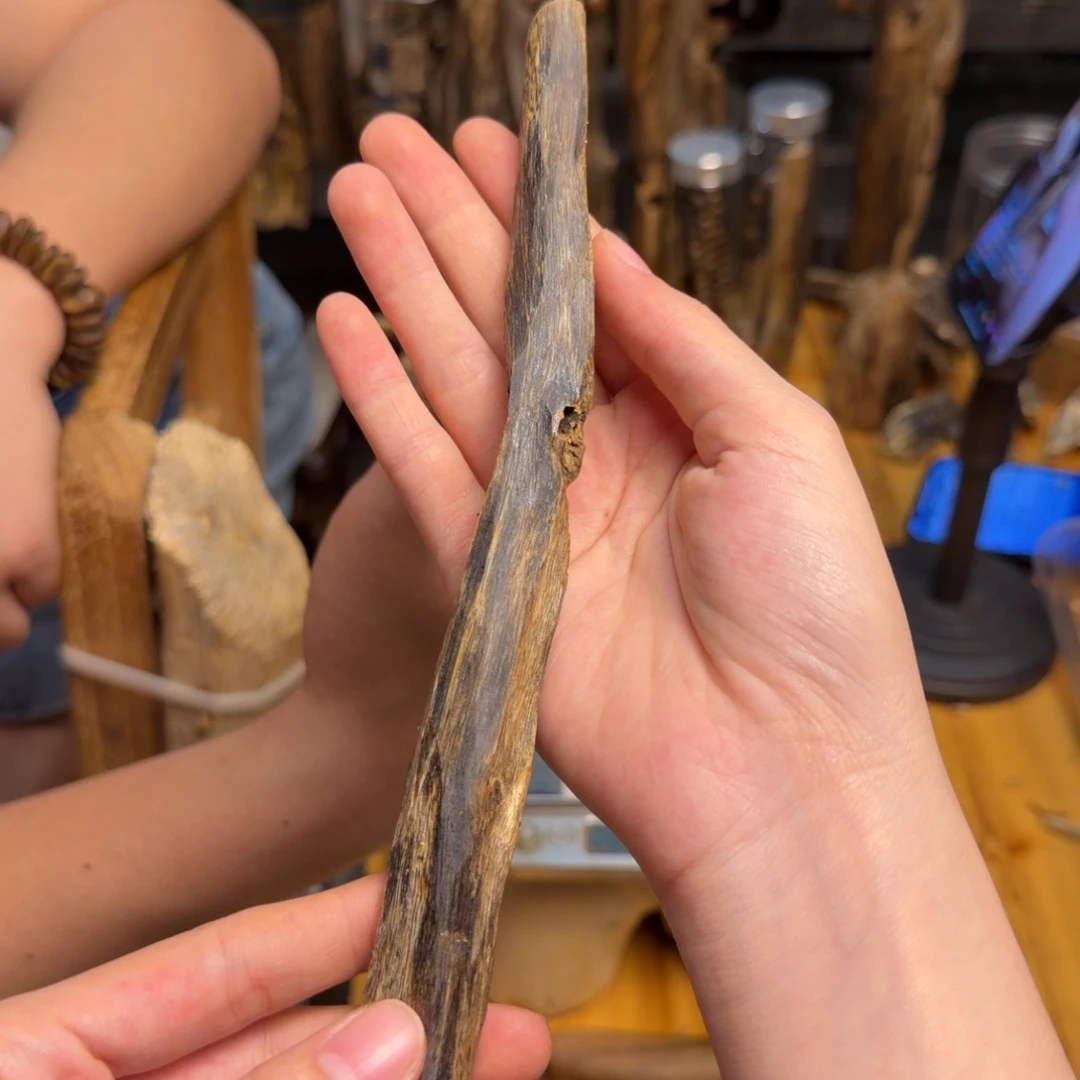 沉香碎屑沉香白棋树心油23克