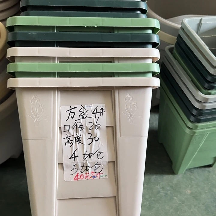 方盆4#无托灰白5个