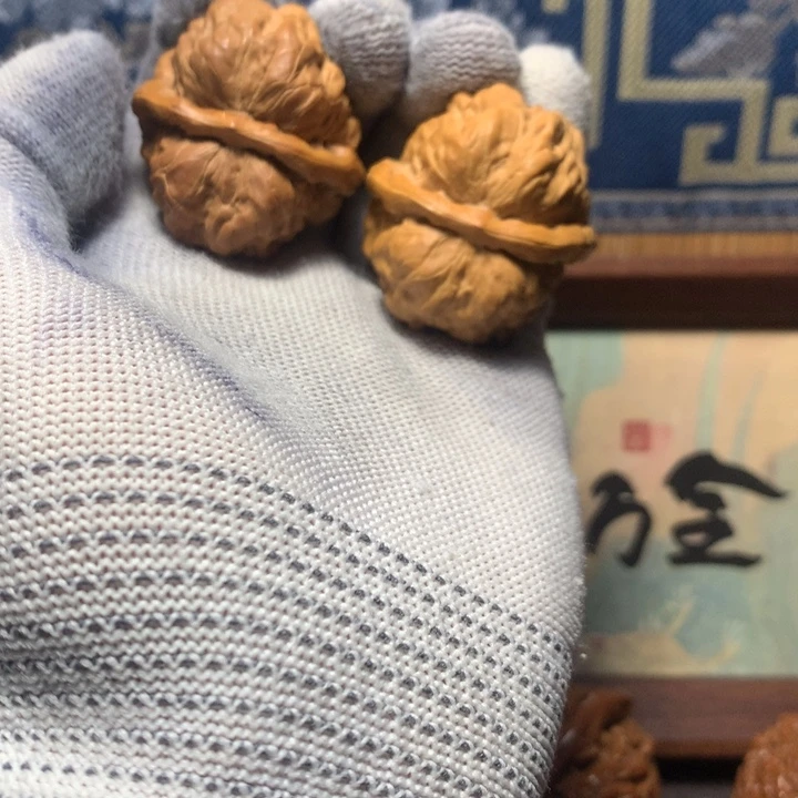 扶***苏哈哈哈哈哈哈哈哈哈哈哈