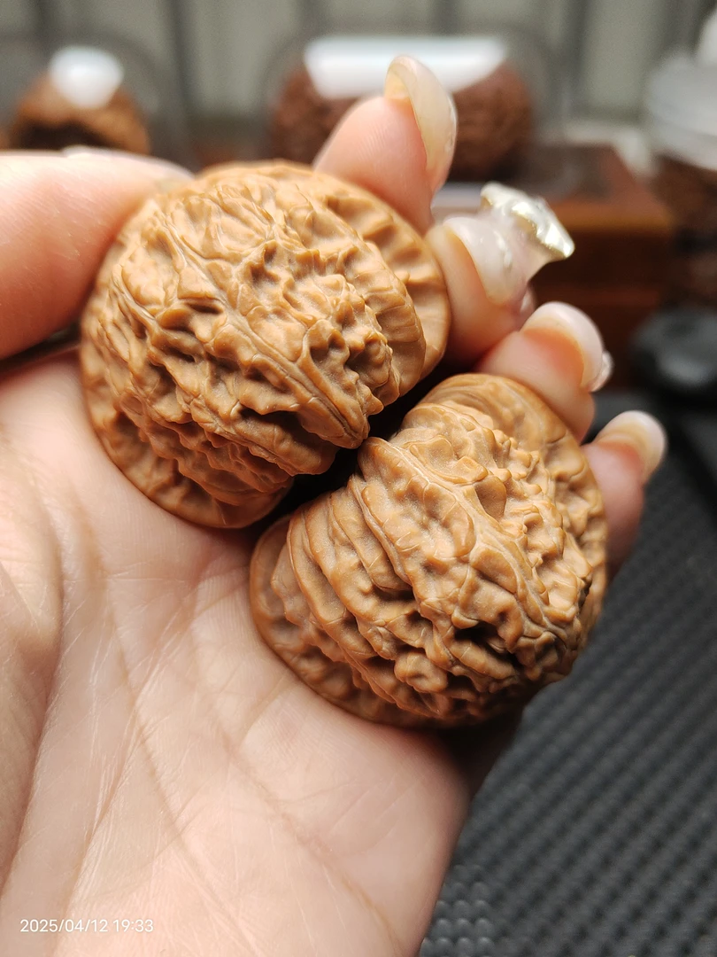 文玩核桃41尺寸全品三角白