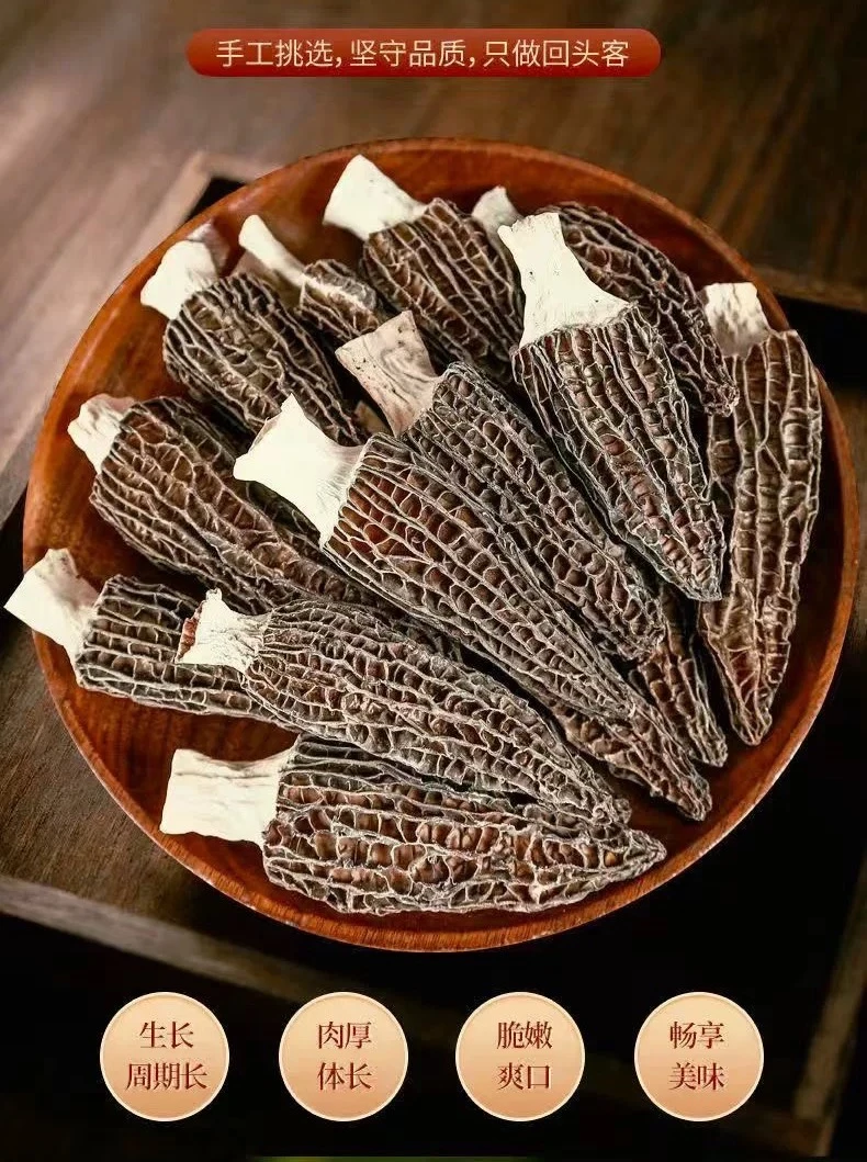 羊肚菌羊肚干菌干货煲汤精选礼盒装猪肚菌羊肚菌干100%正品正宗