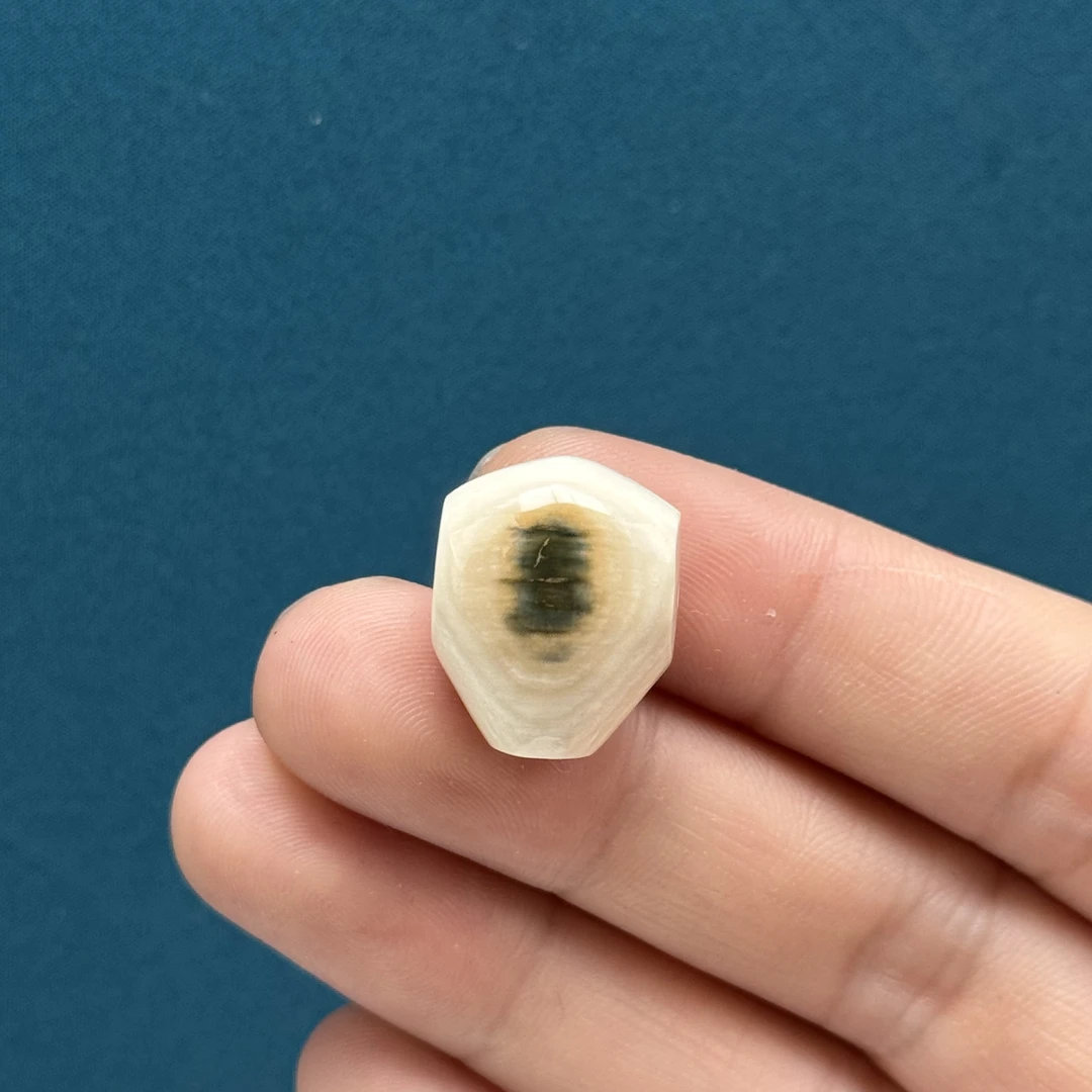 D4550天然猛犸象牙特色鲨鱼背三通15mm支持鉴定 假一罚四