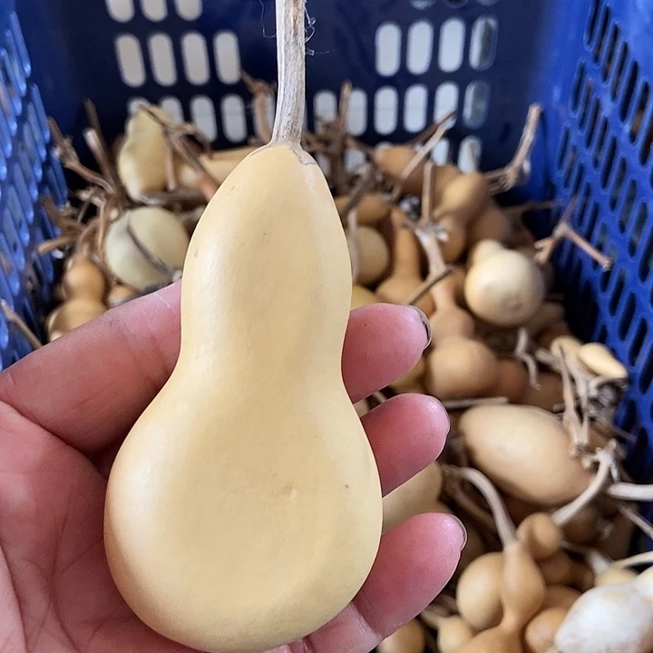 ?****rXbxjxjkskxxnmsszs