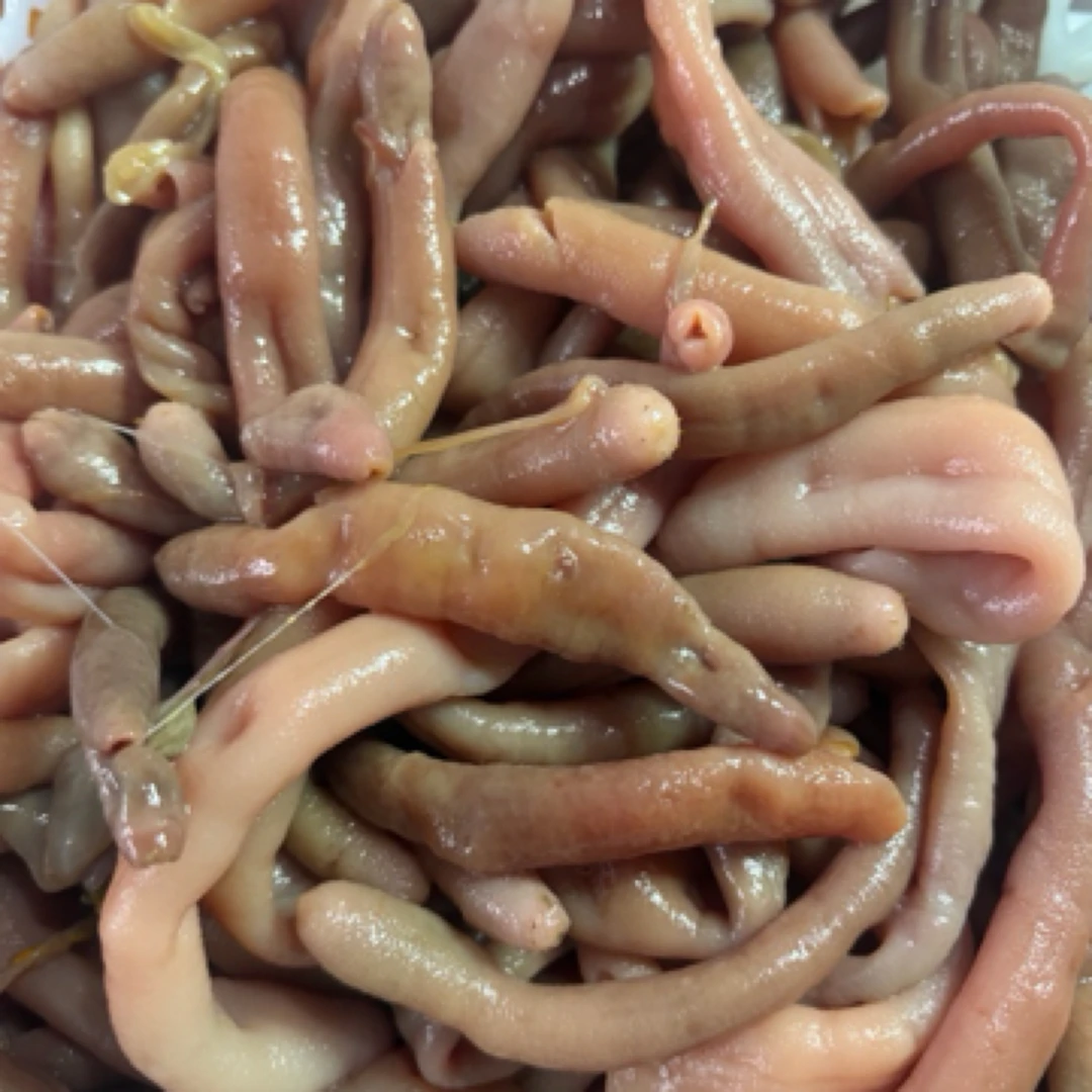 莱州发货 海肠皮 鲜活海肠 去内脏 顺丰2斤带海水保鲜发货