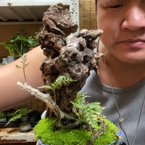 红陶辣*一物一拍所见即所得215