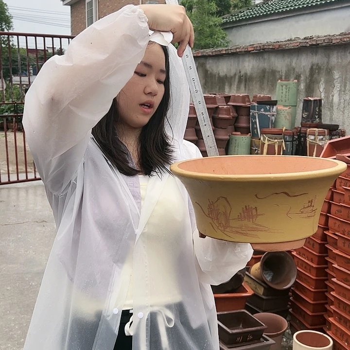 33黄票口花盆花盆花盆