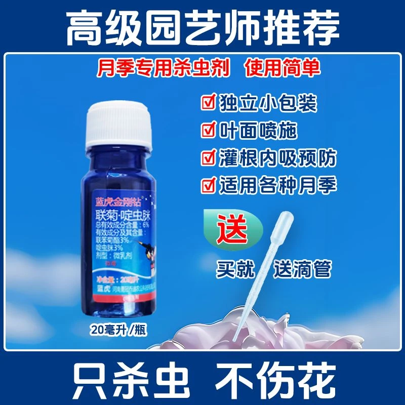 月季蚜虫茎蜂粉虱杀虫剂微毒6%联菊啶虫脒专杀小黑飞潜叶蛾青虫