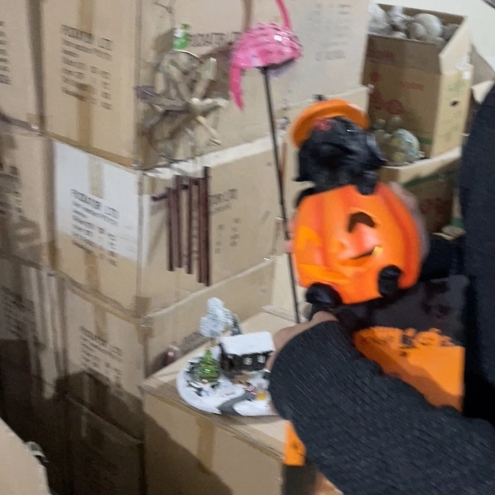 树脂样品样品样品黑狗南瓜