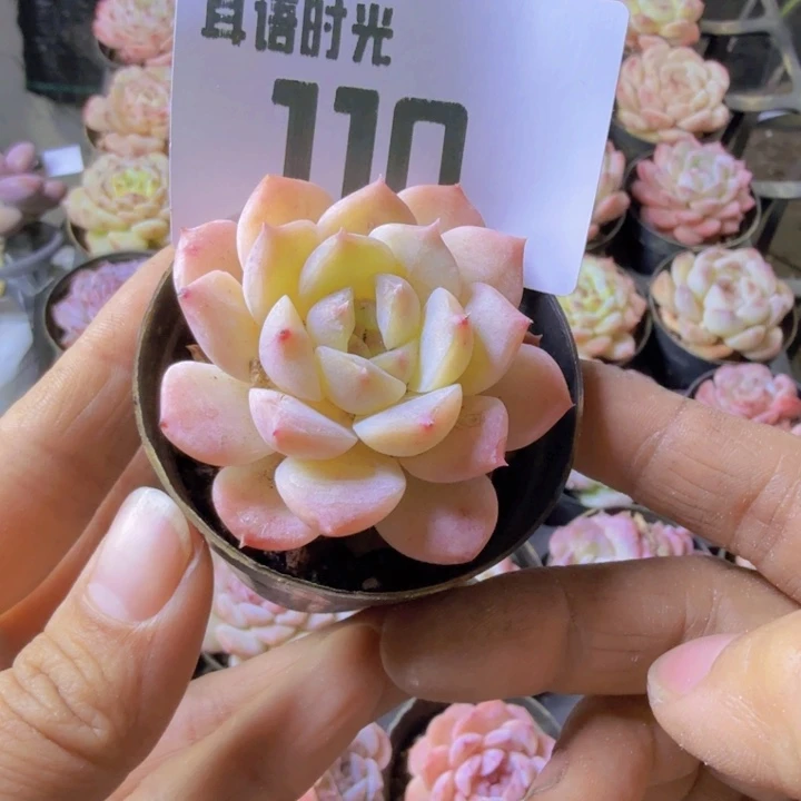 110.qqqqqqqqqqqqwwqw