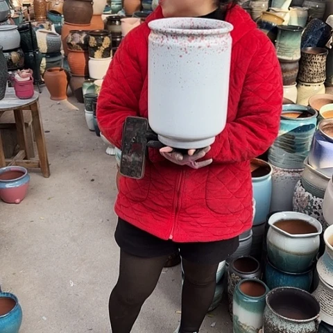 口20高30盆子盆子。