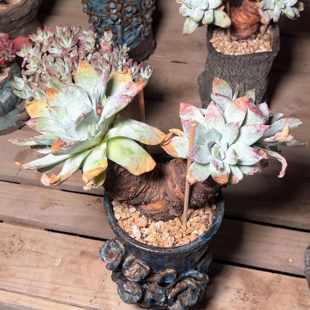 7390哈哈哈是哈哈哈