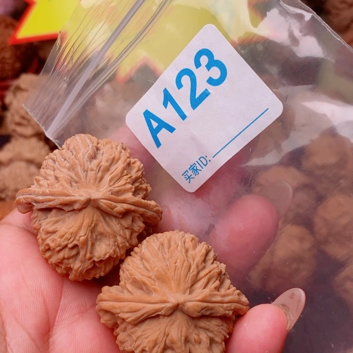 白狮子41尺123号123