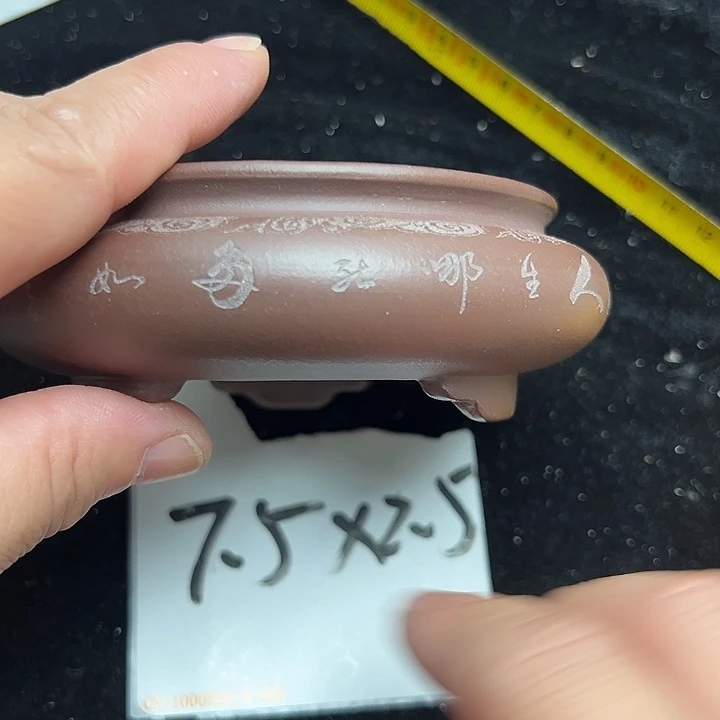 呜呜呜小猫咪真的好可爱