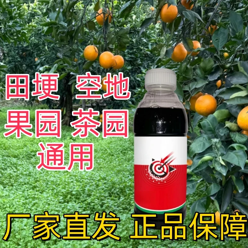 果园荒地田埂户外喷雾使用强效老品牌正品包邮厂家直发有机质
