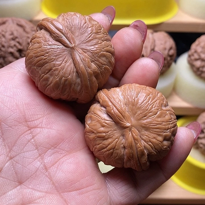 抢吧抢吧抢吧抢吧抢吧抢