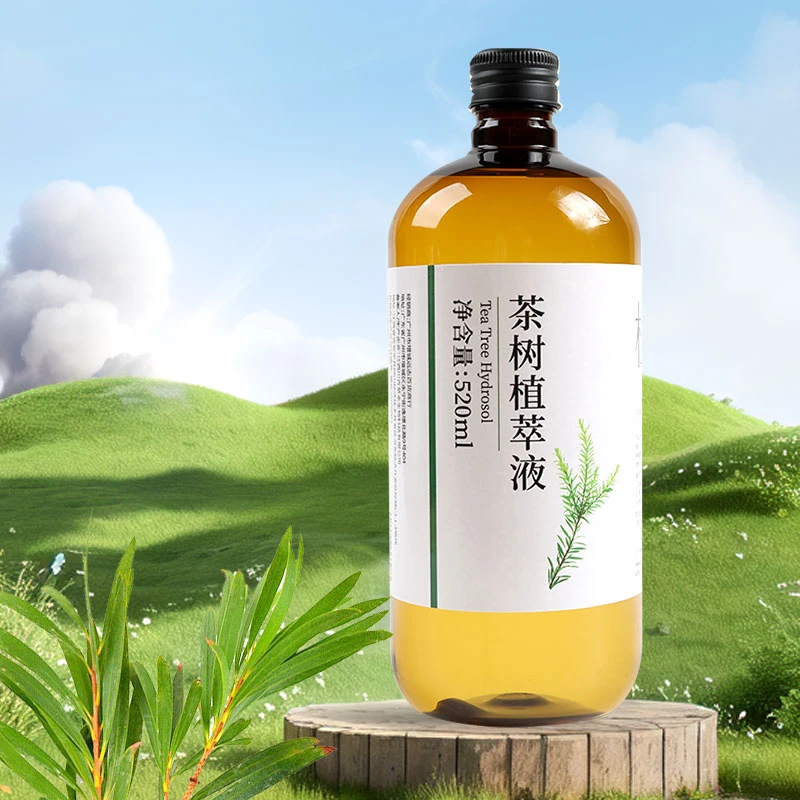 （淼淼）茶树植萃液（一瓶520ml，内有分链接）