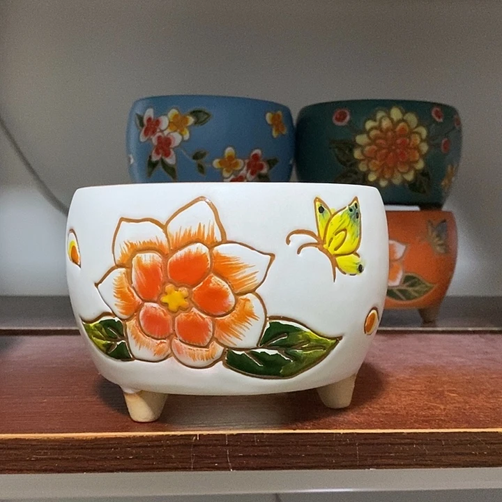 韩式多肉植物花盆
