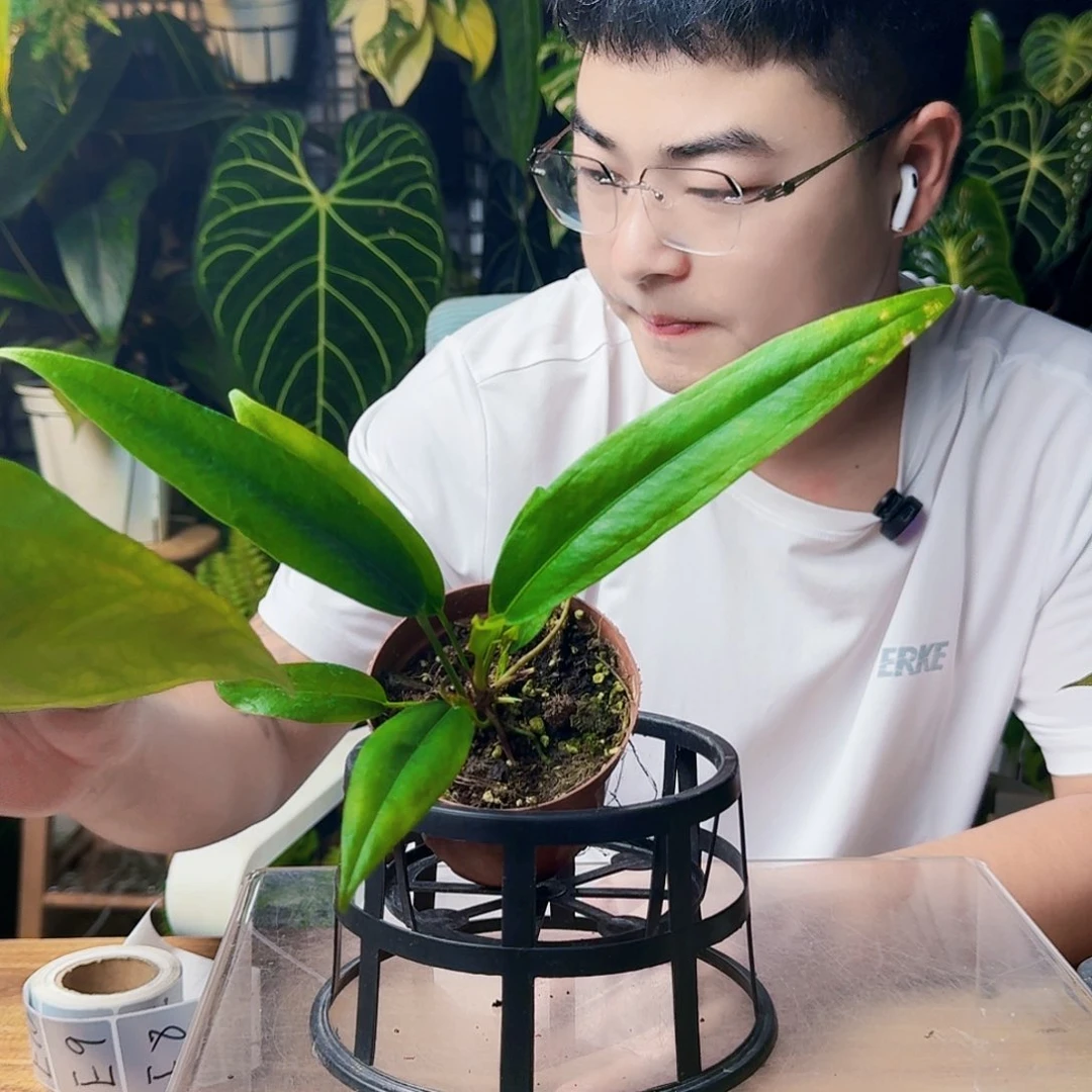 嫖***赚无花朵一物一拍E3