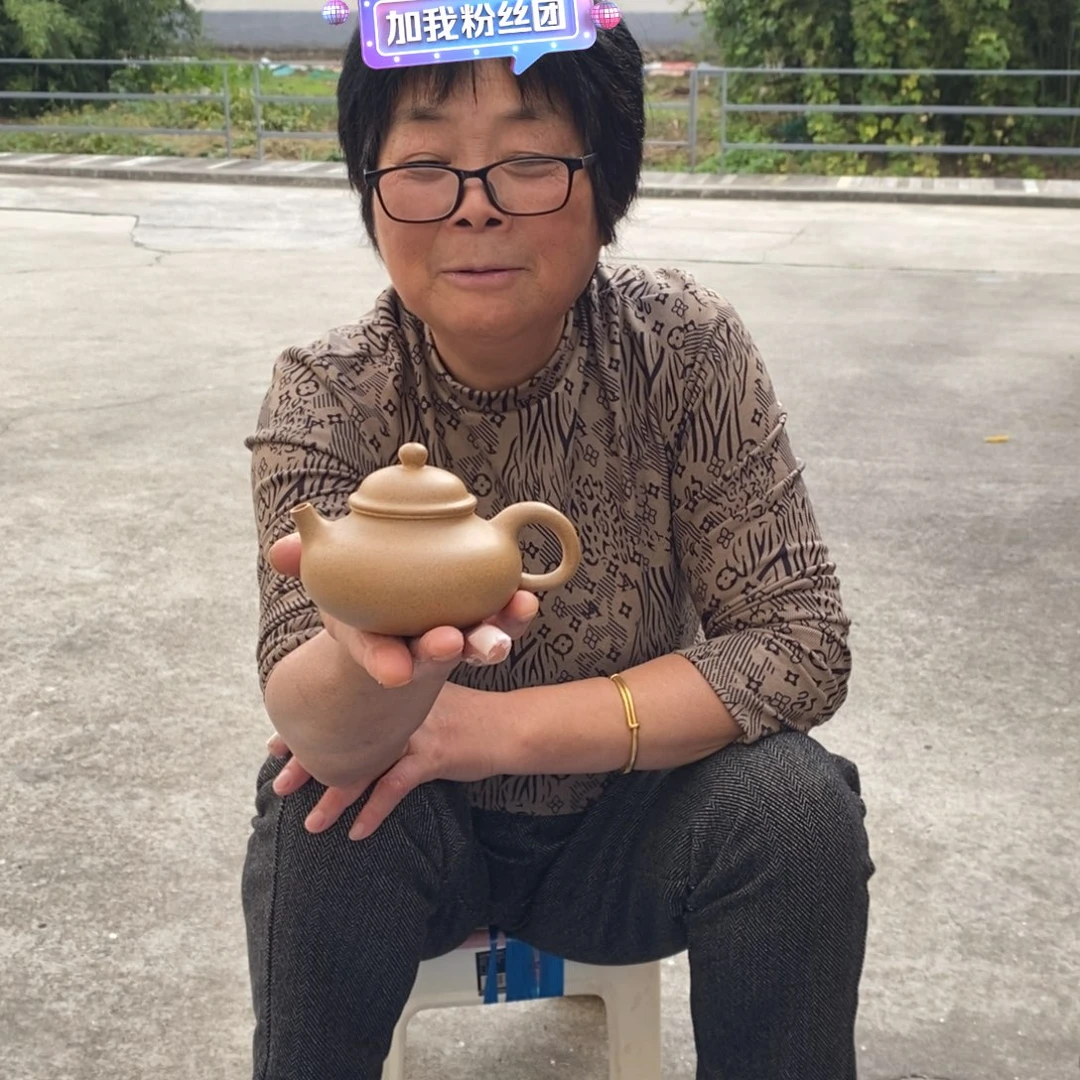 紫砂茶壶宜兴紫砂工艺美术精品