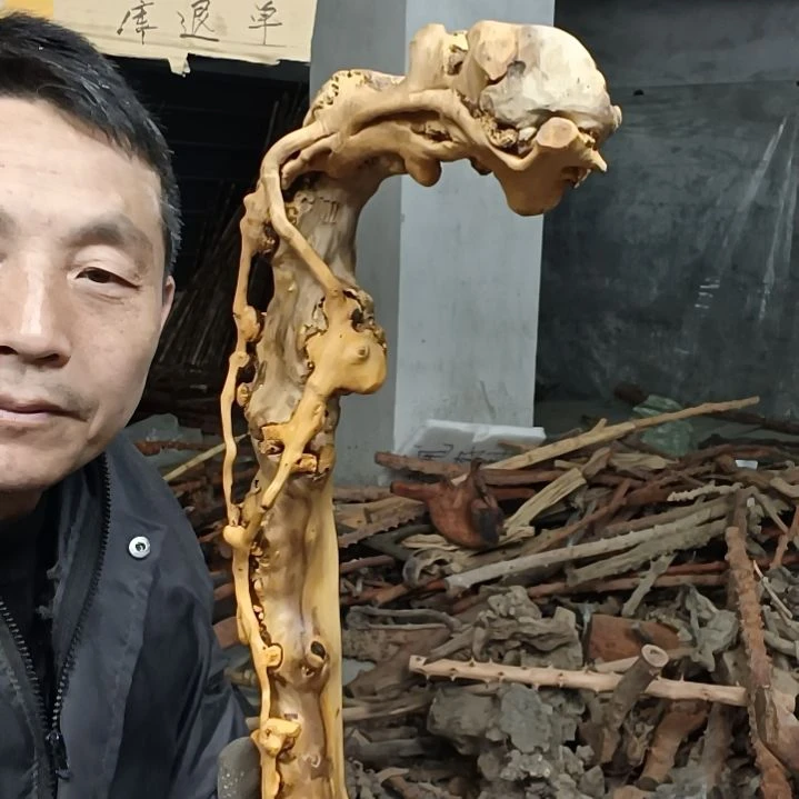 稳定木莲****心贵州檬子木 铁马鞭 根艺 半成品