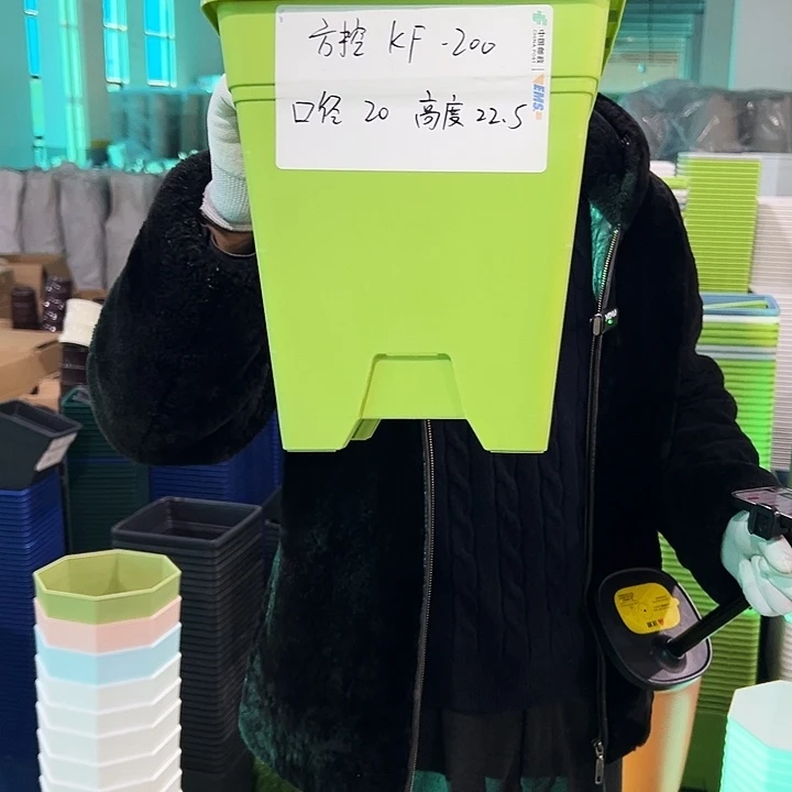 正品方盆口20高22果绿6只无托