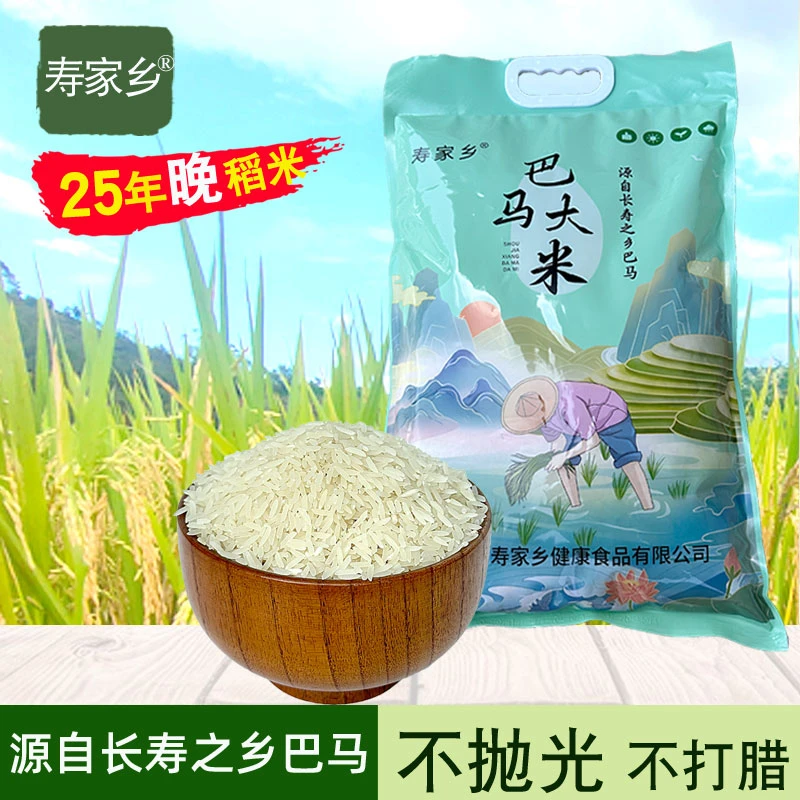 广西巴马长粒香大米农家正宗软优质南方2025煮饭粥长寿乡新米9斤