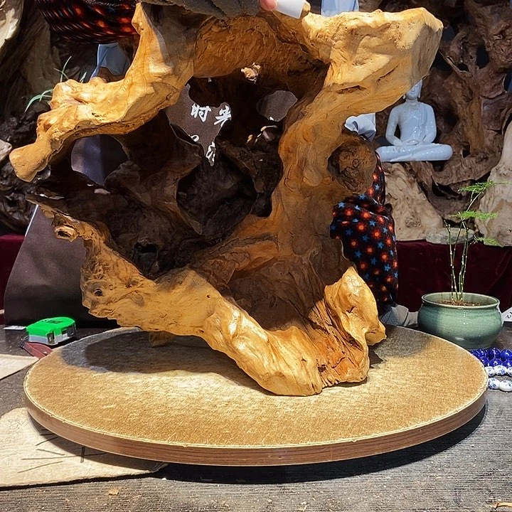 A***冬771株木随行的小根艺