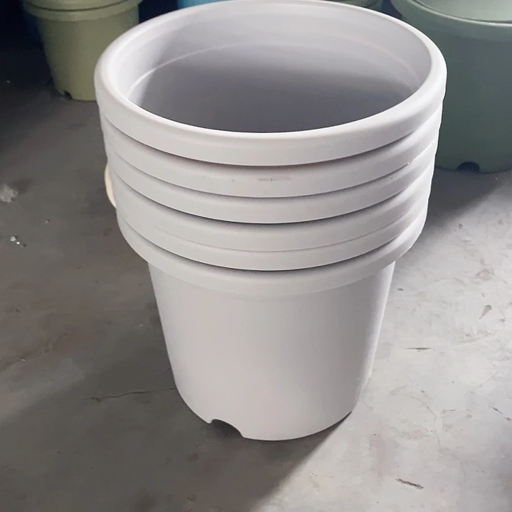 瑕疵英式5号灰白色发6个