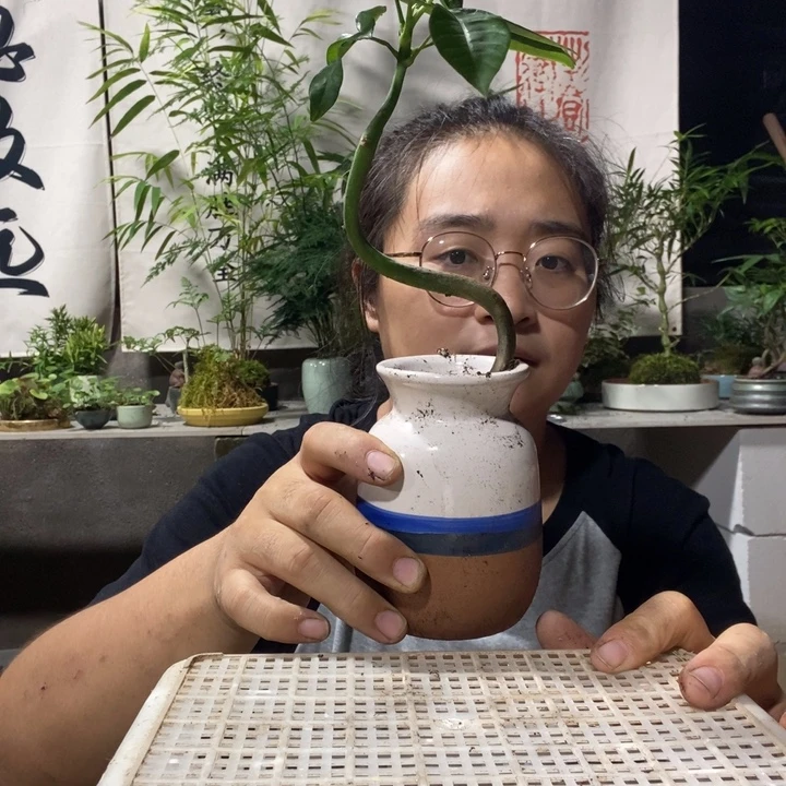 上***进无花朵一物一拍301