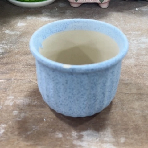 陶瓷新年快乐都是福利盆各位姐姐