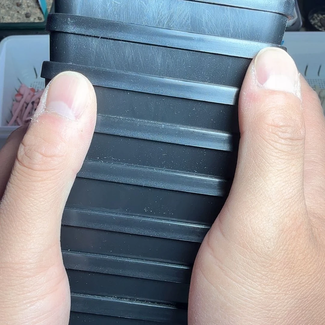 缥*dy14 韩国长条飘渺