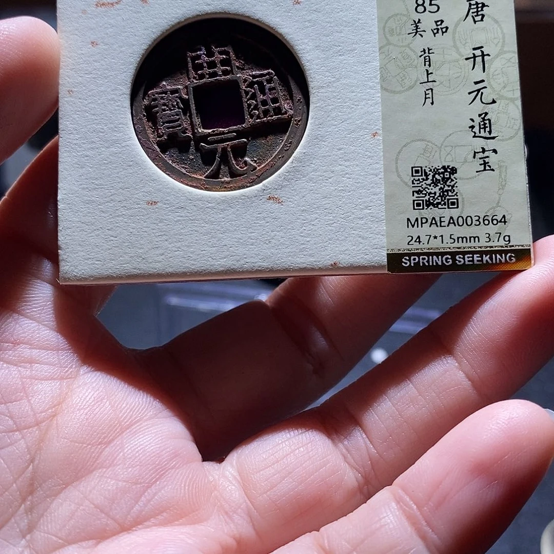 贝壳26 恭喜发财恭喜发财