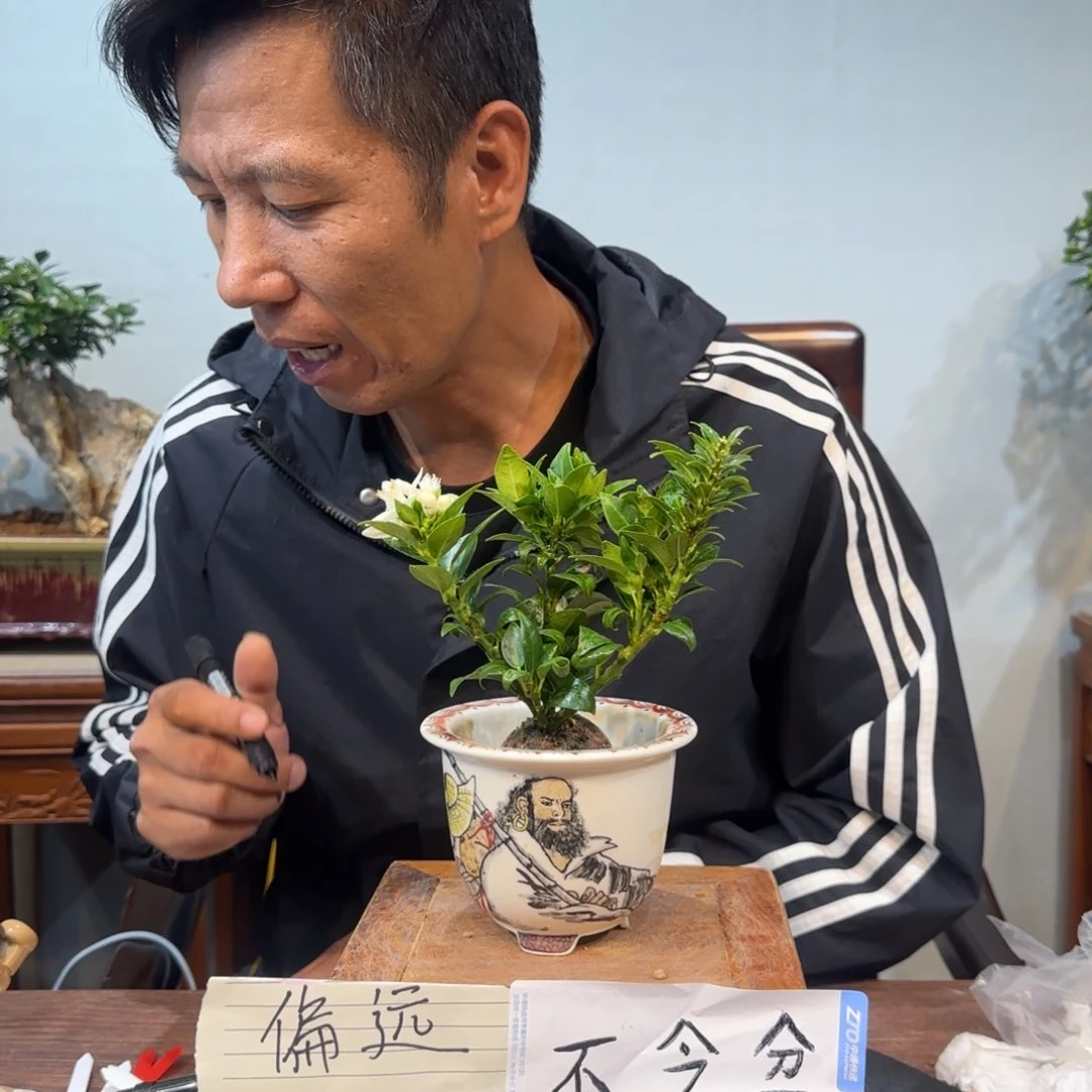 当前无花朵，栽培后可花朵a*j