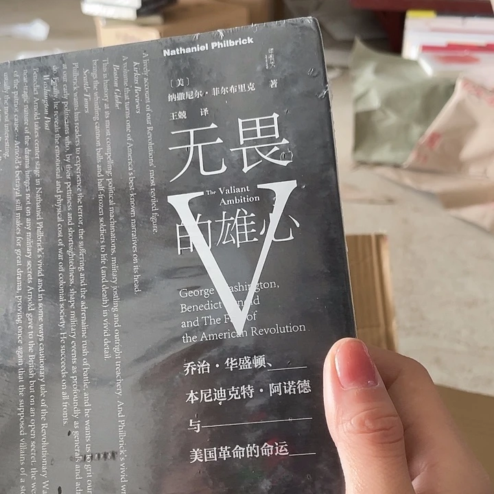 无畏的雄心微瑕微瑕