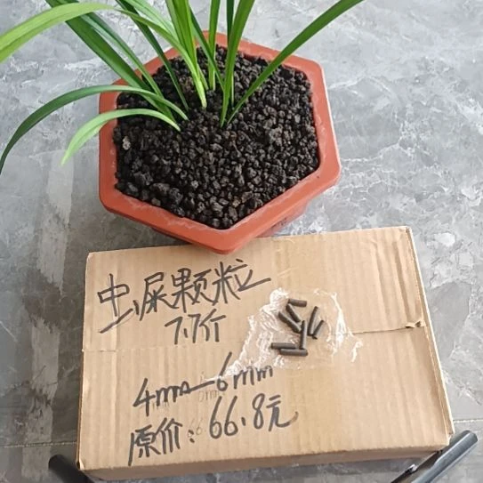 枫***泊兰菌黑山土虫屎颗粒7.7斤