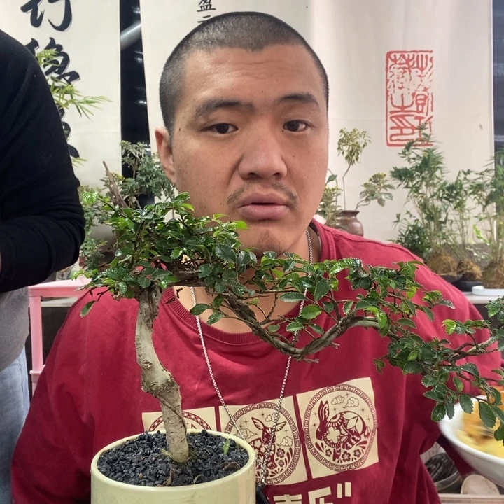 无花朵退款拉黑拉黑51