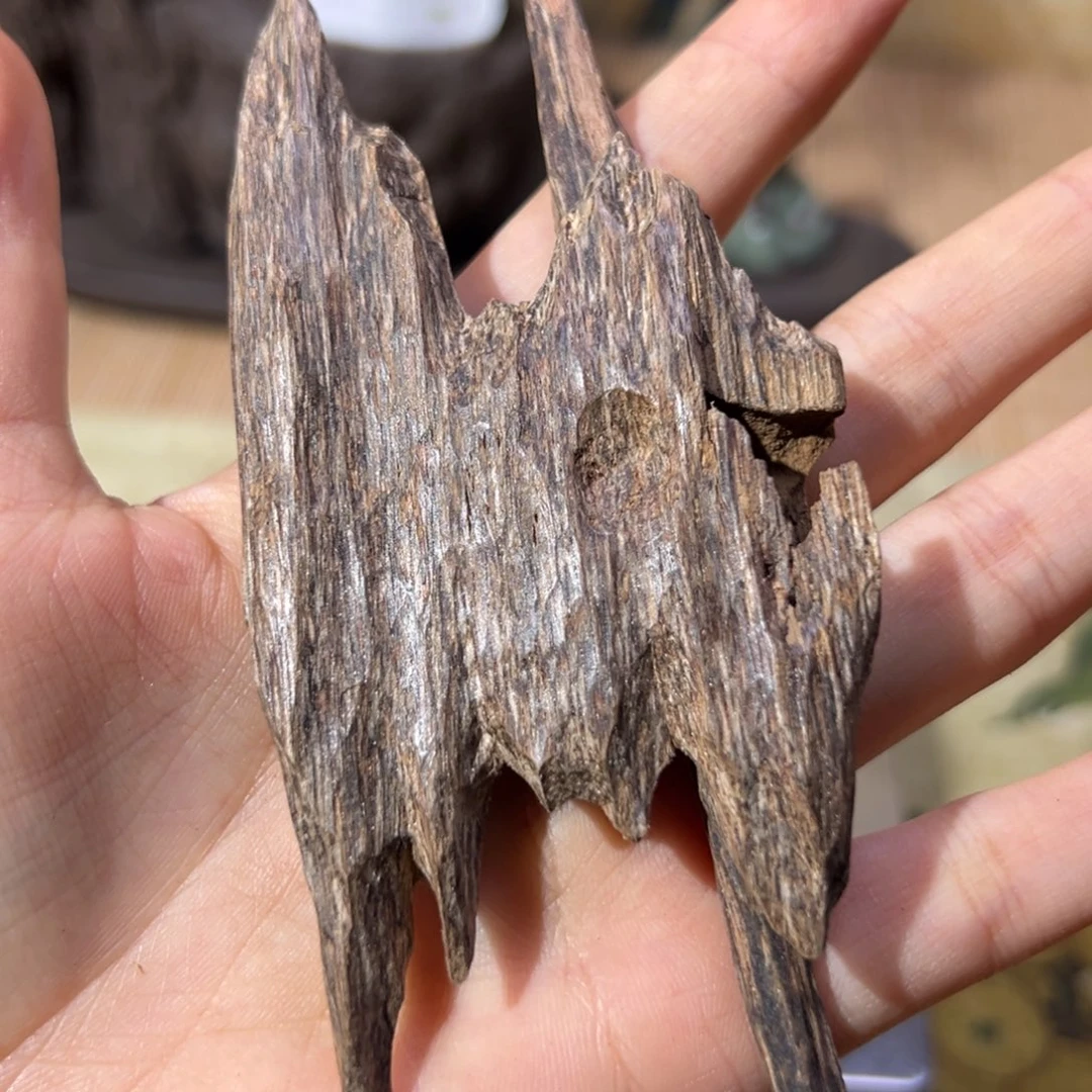 【闪购商品】香榧木海南木料尖峰岭红油树心虫漏12克