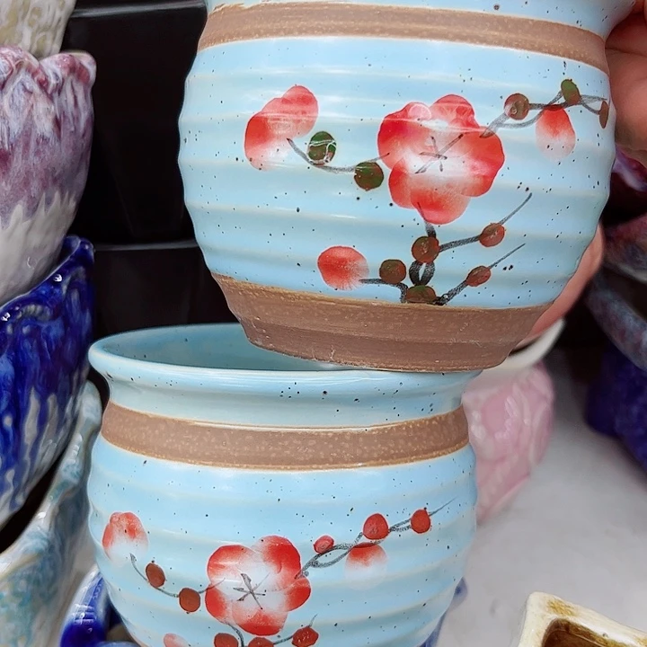 多肉植物陶瓷花瓶