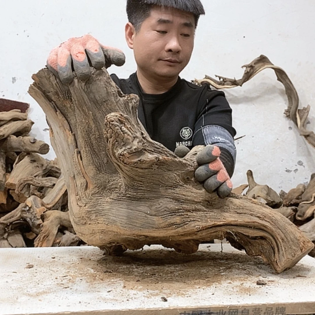 【闪购商品】柏木龍*轩我们都是好孩子