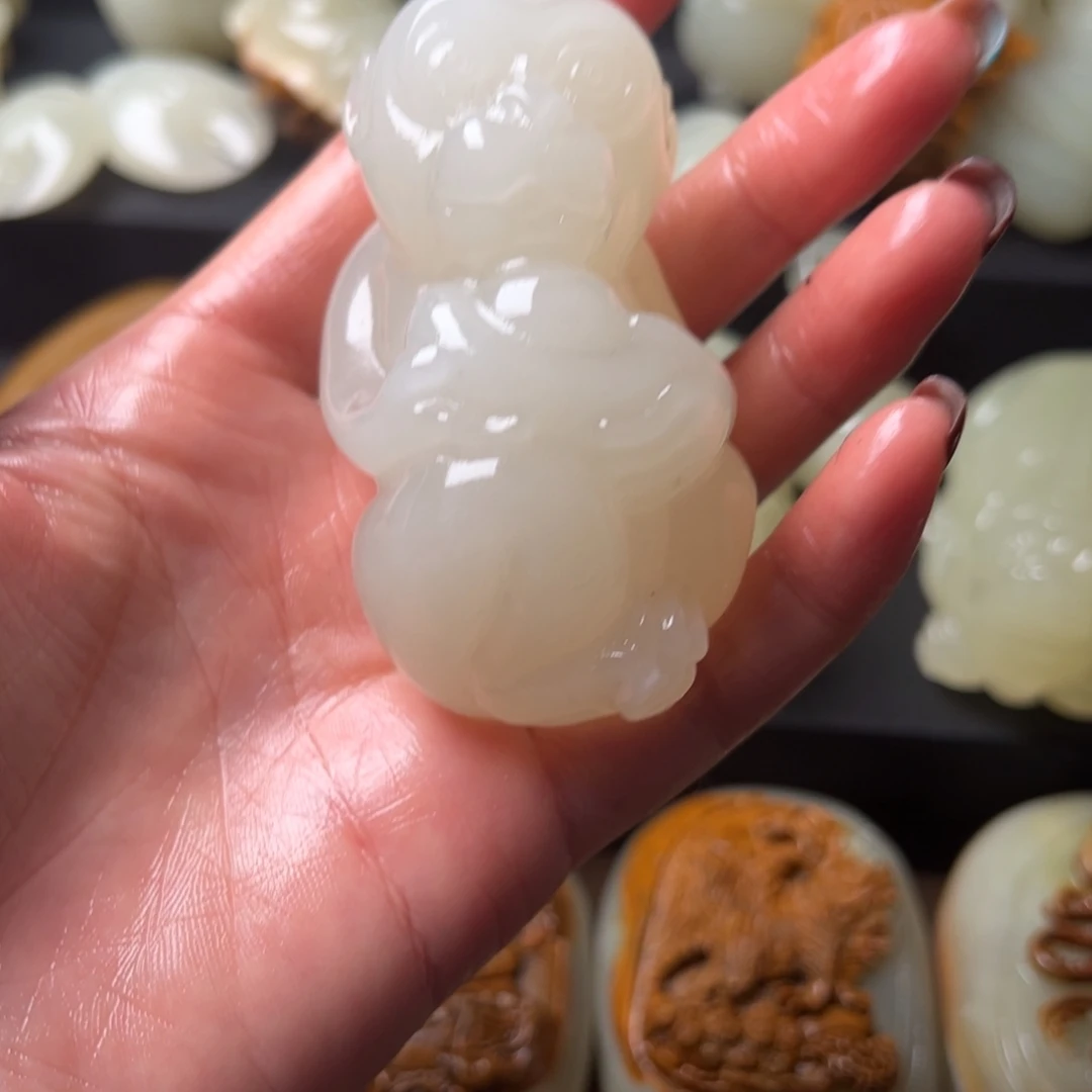 军***卉多样性发货一物一拍