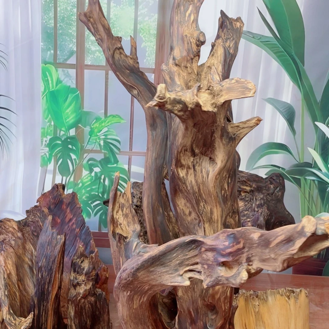 梁***林平安喜乐八方来财