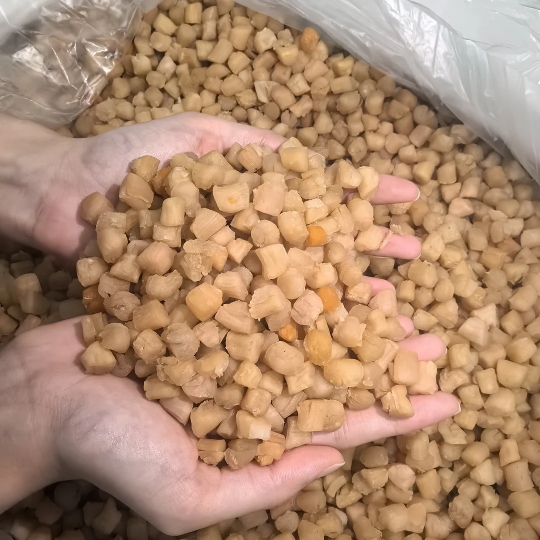 小号大连干贝淡干瑶柱干贝煲汤煲粥食材炖汤鲜甜干贝瑶柱