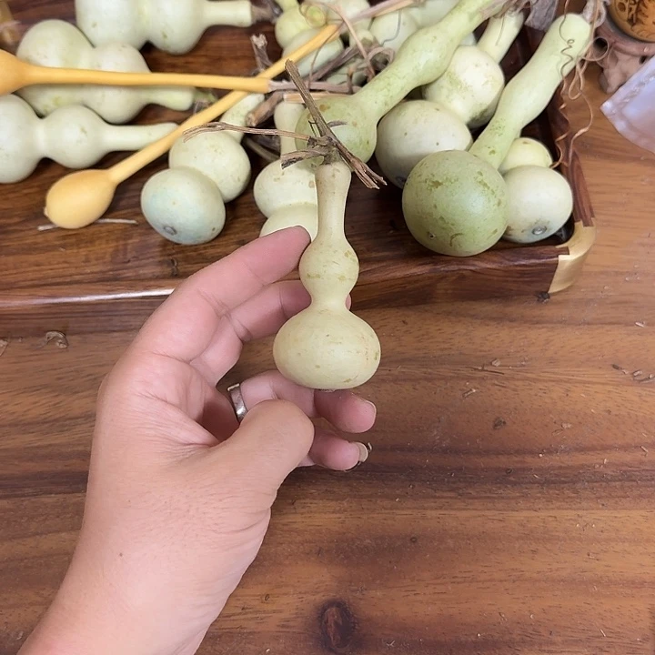 叫****khcohcocohchhcuuvi
