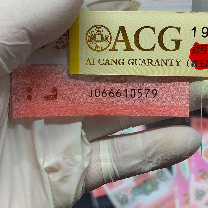 一张一张一张一张一张一张