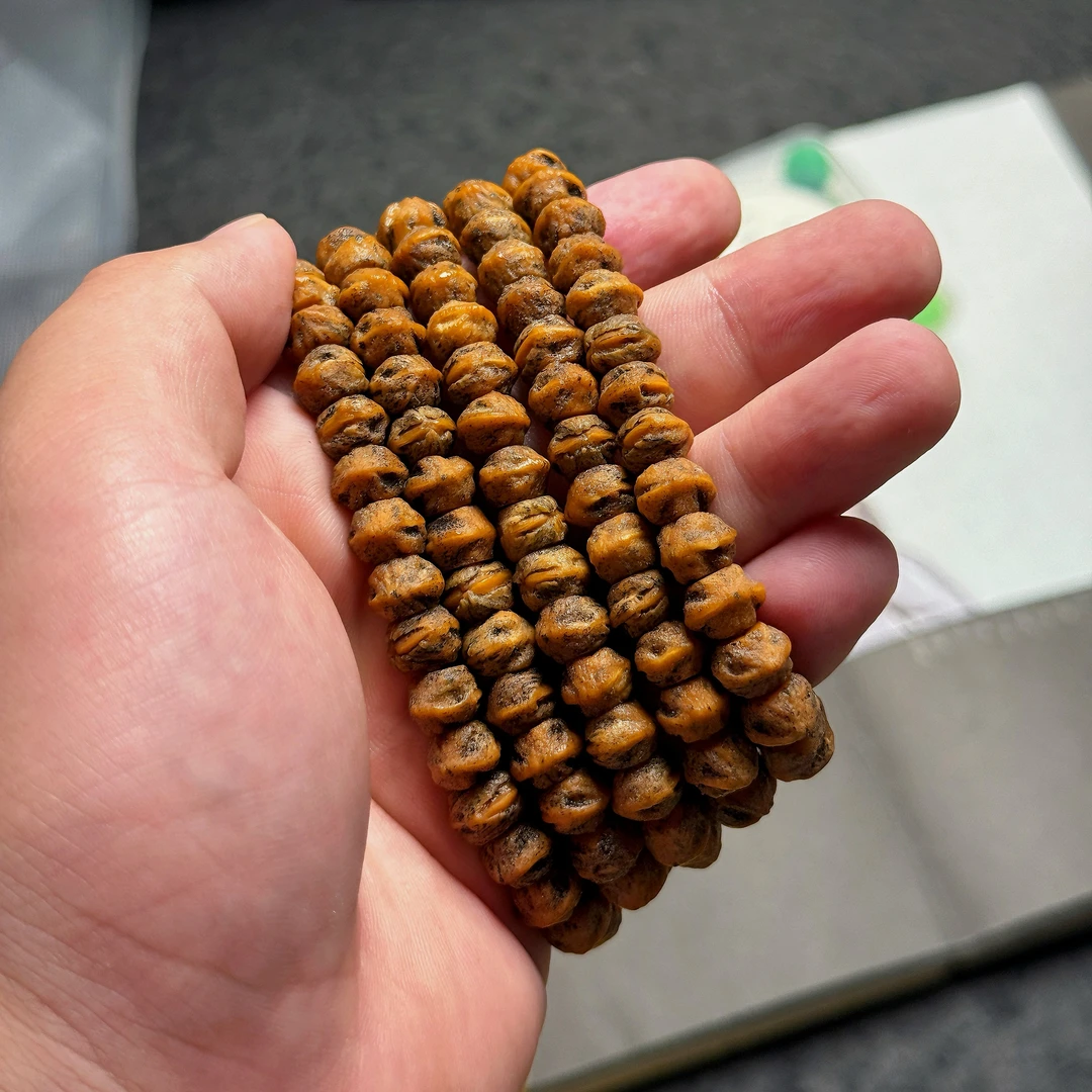「吞噬」热振白牙藏切柏香籽 大尺寸毕业级