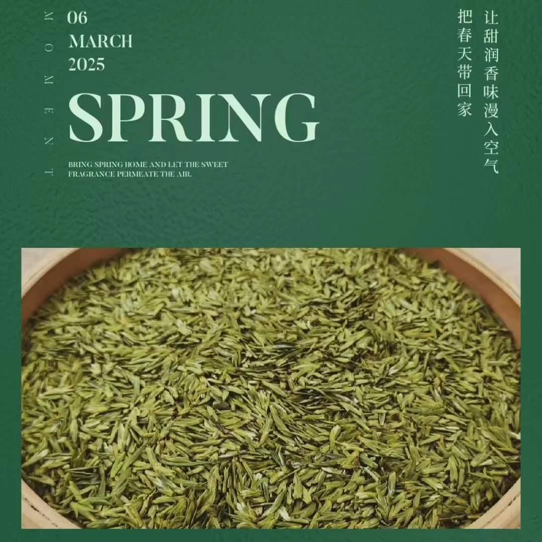 【七佛贡茶雀舌】青川2025年明前新茶高山绿茶嫩芽清香雅致持久