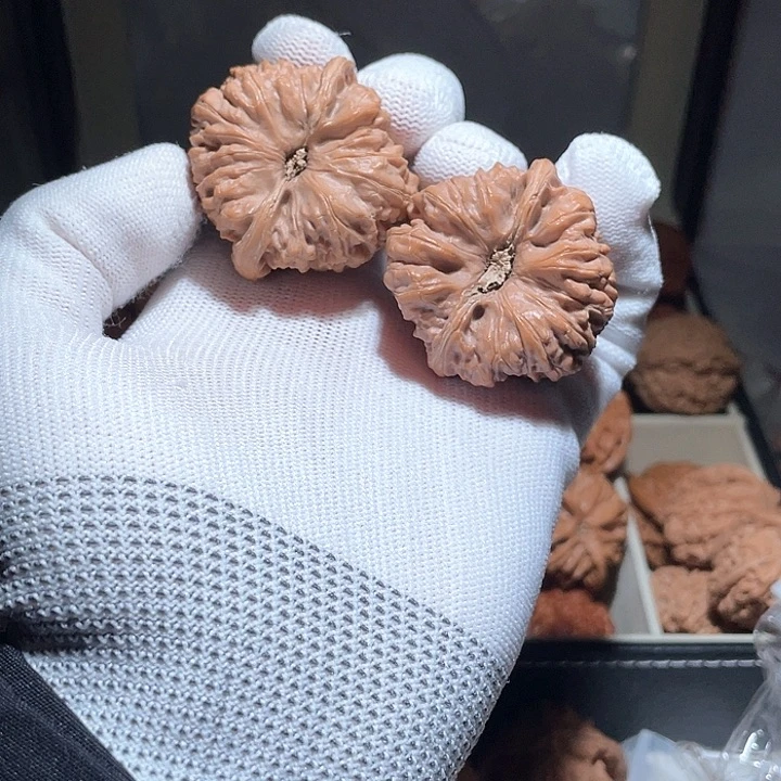 铁****鹅42全品无修平谷凹底